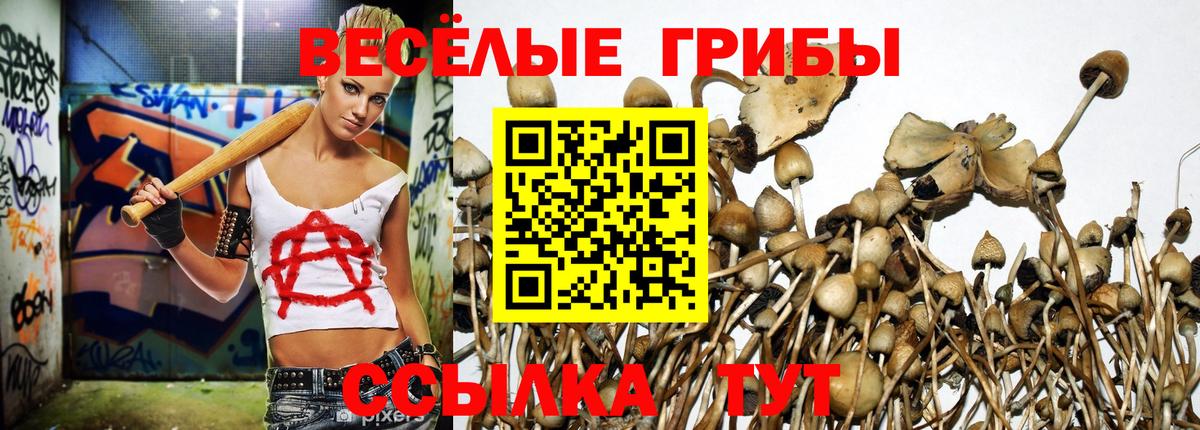 Урус-Мартан  Галлюциногенные грибы GOLDEN TEACHER  Вход с VPN 